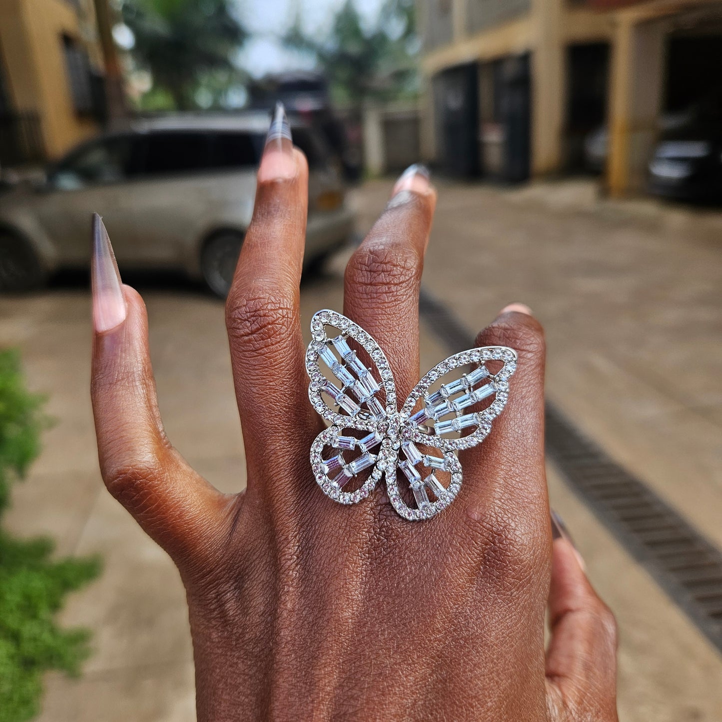 Monarch