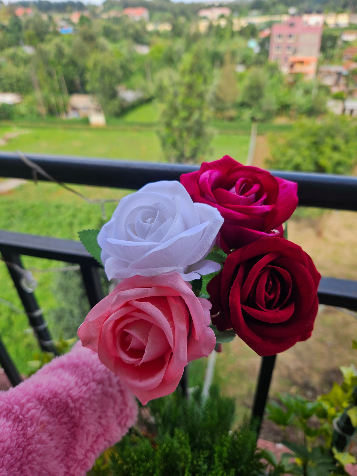 Rose buds